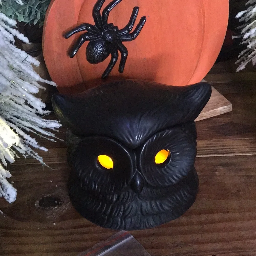 Crate&Barrel X PATCH NYC Collaboration Whimsical Black Owl Incense Burner 🦉